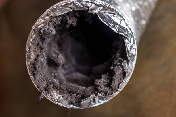 Best Duct Cleaning for Offices  in Newburgh, IN