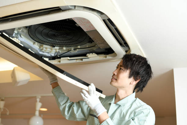 Best Residential Air Duct Cleaning  in Newburgh, IN